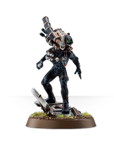 OFFICIO ASSASSINORUM CULEXUS ASSASSIN