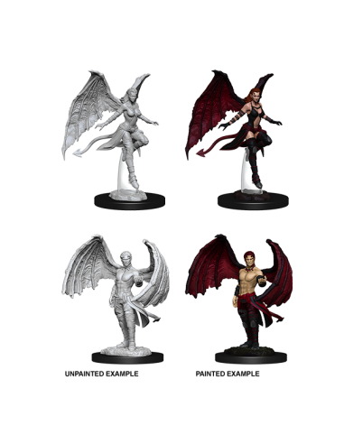 D&D MINIATURES SUCCUBUS & INCUBUS