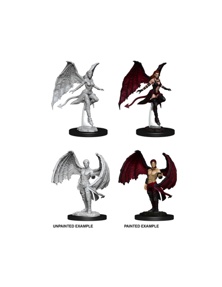 D&D MINIATURES SUCCUBUS & INCUBUS