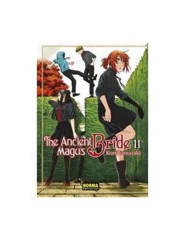 THE ANCIENT MAGUS BRIDE 11