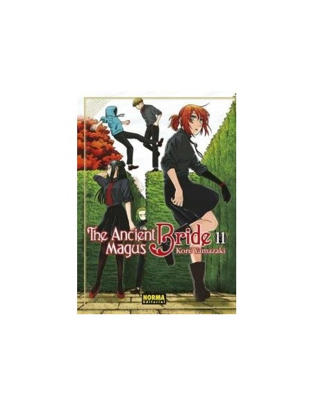 THE ANCIENT MAGUS BRIDE 11